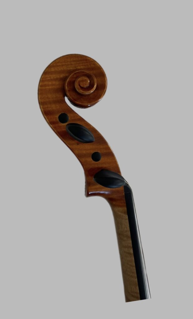 Viola Marco Minnozzi - Ravenna 2024 img 20250921 140545