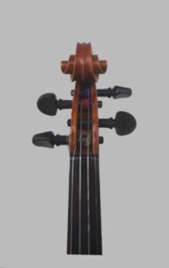 img 20260126 110510 2