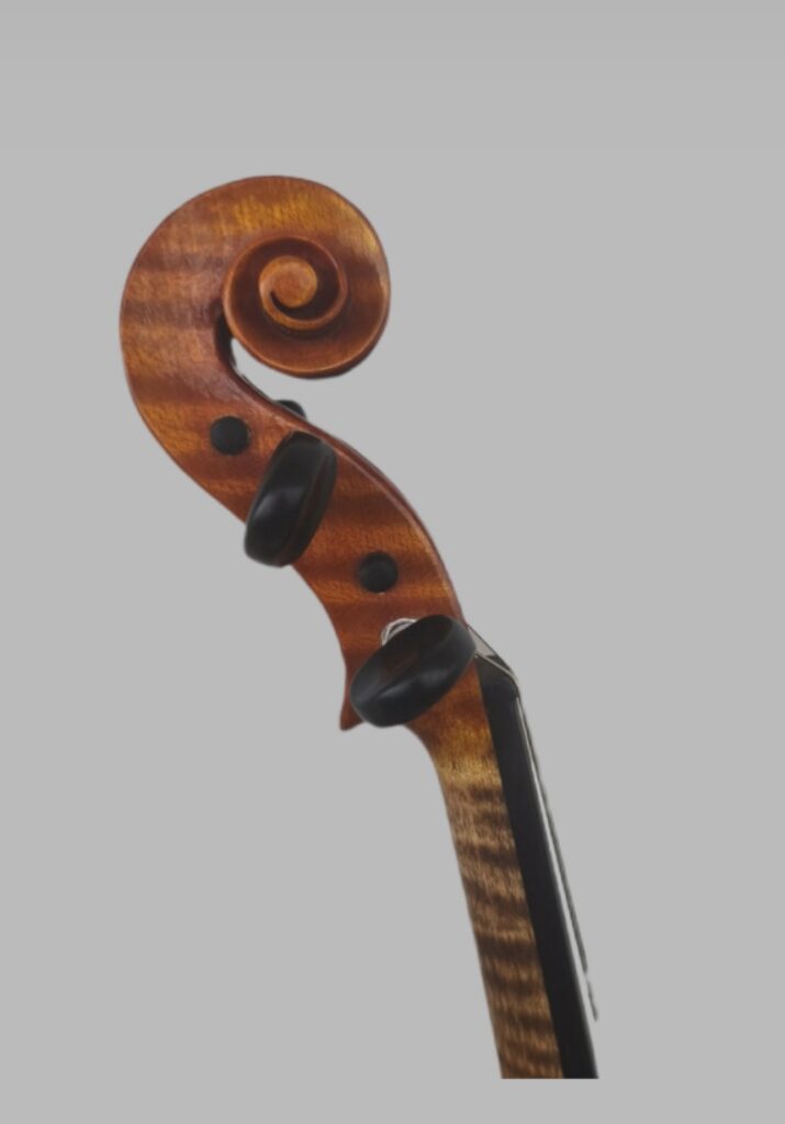 img 20260126 110714 4